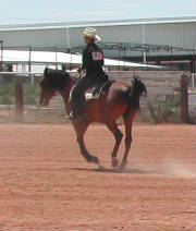 horseshow200410x.jpg