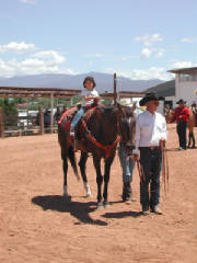 horseshow200419.jpg