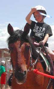 horseshow200424x.jpg